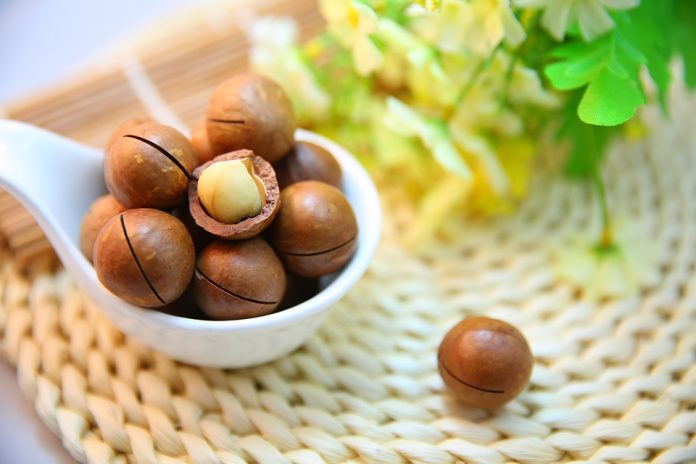 Makadamiové ořechy