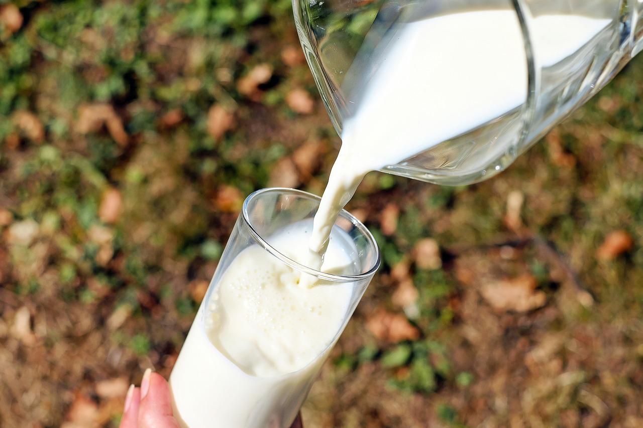 Jak dlouho vydrží čerstvě nadojené mléko?